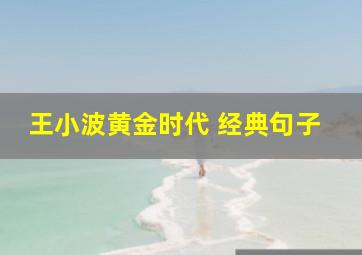 王小波黄金时代 经典句子